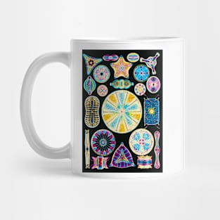 Art of Diatom algae (from Ernst Haeckel) (B305/0177) Mug